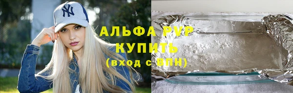 индика Гусиноозёрск