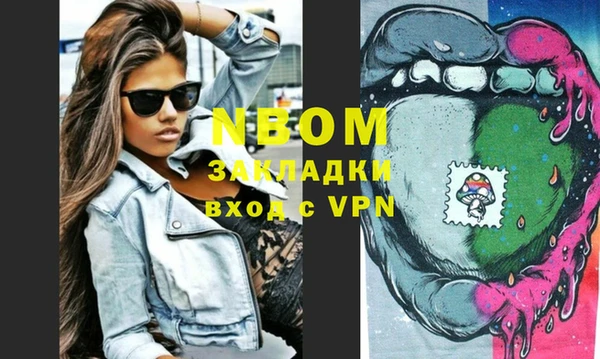 индика Гусиноозёрск
