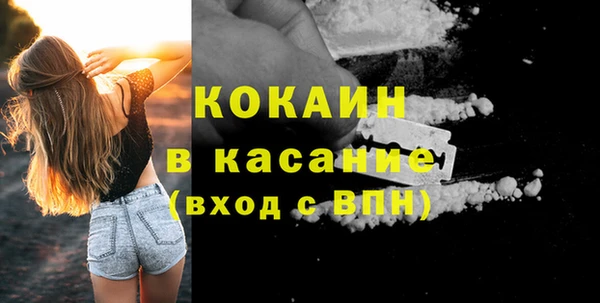 индика Тобольск
