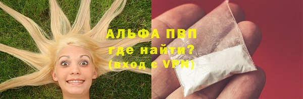 PSILOCYBIN Козловка