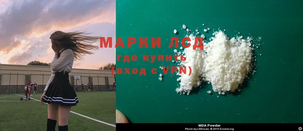 индика Гусиноозёрск