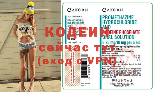 СК Кодинск