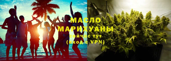 индика Гусиноозёрск