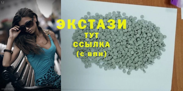индика Гусиноозёрск