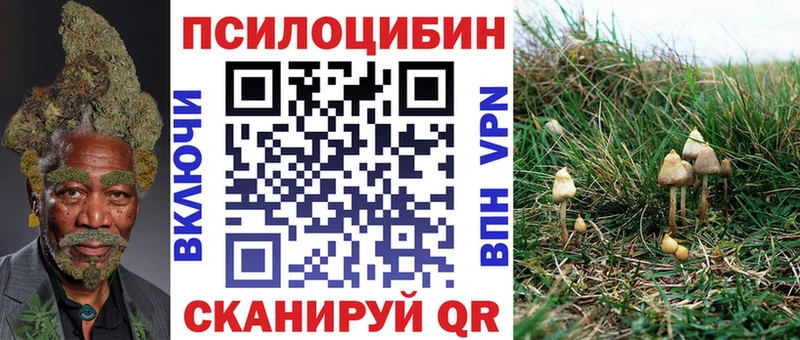 Псилоцибиновые грибы Magic Shrooms  купить наркоту  hydra как зайти  Вытегра 